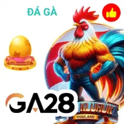 zalv Game 09
